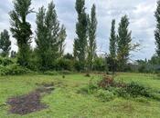 Satılır  torpaq 12 sot, photo 6 from 8