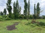 Satılır  torpaq 12 sot, photo 8 from 8