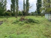 Satılır  torpaq 12 sot, photo 4 from 8