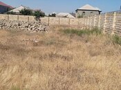 Объявление №5989604 - Баку, пос. Сарай, 15 сот