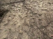 Продаётся  участок 4.5 сот, photo 8 from 8