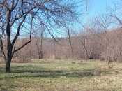 Satılır  torpaq 163 sot, photo 2 from 4