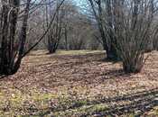 Elan №5990190 - Qəbələ, Qəbələ, 163 sot