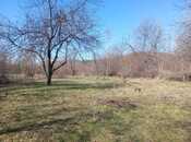 Satılır  torpaq 163 sot, photo 3 from 4