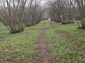 Satılır  torpaq 98 sot, photo 3 from 4