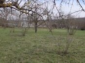 Elan №5990436 - Qəbələ, Qəbələ, 98 sot