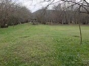 Satılır  torpaq 98 sot, photo 4 from 4