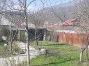 Elan №5990484 - Qəbələ, Qəbələ, 3.3 sot