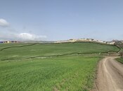 Elan №5990734 - Şamaxı, Şamaxı, 300 sot