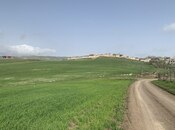 Satılır  torpaq 300 sot, photo 5 from 5