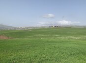 Satılır  torpaq 300 sot, photo 4 from 5