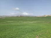 Satılır  torpaq 300 sot, photo 3 from 5