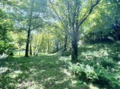 Satılır  torpaq 6 sot, photo 2 from 8