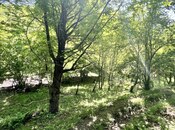 Satılır  torpaq 6 sot, photo 8 from 8