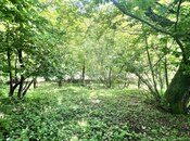 Satılır  torpaq 6 sot, photo 7 from 8