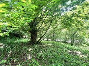 Satılır  torpaq 6 sot, photo 6 from 8