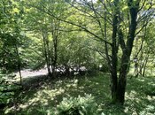 Elan №5990747 - Qəbələ, Qəbələ, 6 sot