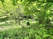 Satılır  torpaq 6 sot, photo 4 from 8