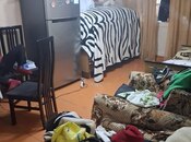 Продаётся 4-комн. вторичка 80 м², м. Нефтчиляр, photo 5 from 8