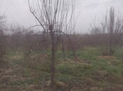 Satılır  torpaq 23 sot, Xaçmaz r., photo 4 from 4