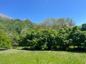 Satılır  torpaq 15 sot, photo 8 from 8