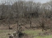 Elan №5991174 - İsmayıllı, İsmayıllı, 10.5 sot