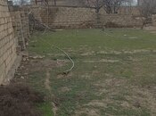 Объявление №5991400 - Баку, пос. Сарай, 10 сот