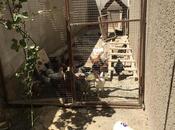 Продаётся 4-комн. дом/дача 110 м², пос. Мехтиабад, photo 4 from 8