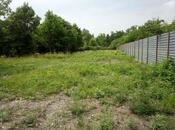 Elan №5991544 - Qəbələ, Qəbələ, 10 sot