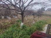 Elan №5991561 - Bakı, Buzovna q., 7 sot