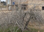 Продаётся  участок 5 сот, пос. Нардаран, photo 8 from 8