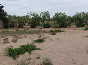 Продаётся  участок 24 сот, пос. Фатмаи, photo 5 from 8