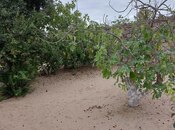 Продаётся  участок 24 сот, пос. Фатмаи, photo 4 from 8