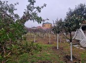 Satılır 2 otaqlı həyət evi/bağ evi 55 m², Zabrat q., photo 6 from 8