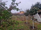 Satılır 2 otaqlı həyət evi/bağ evi 55 m², Zabrat q., photo 7 from 8