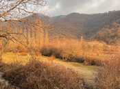 Elan №5991784 - İsmayıllı, İsmayıllı, 20 sot