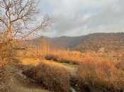 Продаётся  участок 20 сот, photo 2 from 8