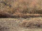 Продаётся  участок 20 сот, photo 8 from 8