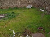 Объявление №5992245 - Баку, пос. Бина, 2 сот