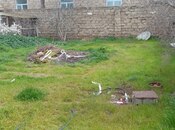 Продаётся  участок 2 сот, пос. Бина, photo 2 from 3