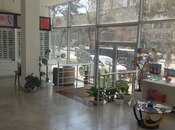 Объявление №5992374 - Баку, м. Иншаатчылар, 160 м²