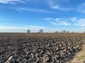 Satılır  torpaq 21 500 sot, photo 3 from 7