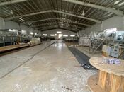 Elan №5992453 - Salyan, Salyan, 9000 m²