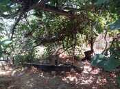 Satılır  torpaq 4 sot, Bakıxanov q., photo 3 from 4