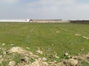 Elan №5992783 - Bakı, Binə q., 50 sot