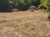 Elan №5992567 - Xaçmaz, Xaçmaz, 20 sot