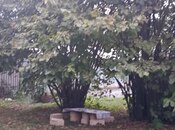 Satılır  torpaq 11.6 sot, photo 6 from 8