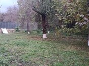 Satılır  torpaq 11.6 sot, photo 5 from 8