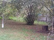 Satılır  torpaq 11.6 sot, photo 7 from 8