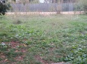 Elan №5992616 - İsmayıllı, İsmayıllı, 11.6 sot